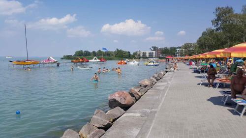 Apartments In Siofok/balaton 38420
