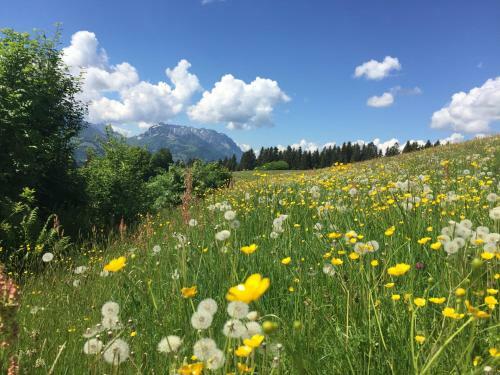 Apartamento Appartement Schuricht