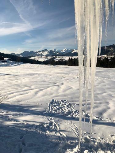 Apartamentos Panoramaresidenz Blindau