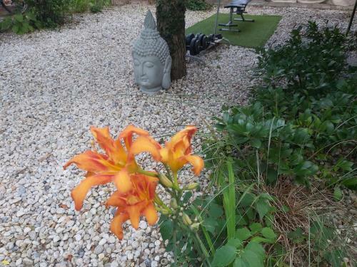 Relax Bungalow Terrace, 2 Db Teraszos Fah�z