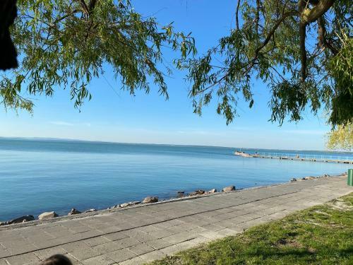 Orsolya Apartman Si�fok