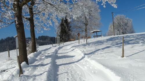 Apartamentos Ferienwohnung Alpenstern