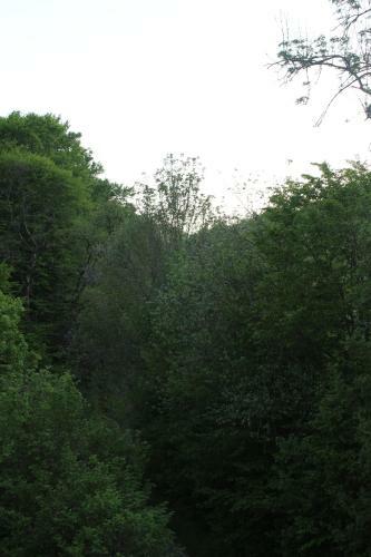 Apartamento Fewo Waldblick