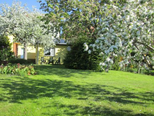 Ferienhaus Am Schilfg�rtel