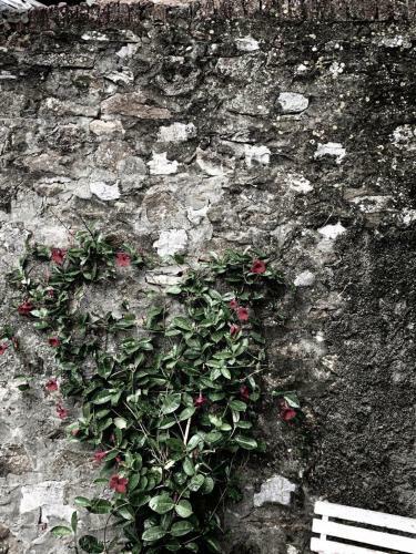 Bed & Breakfast Cavour21