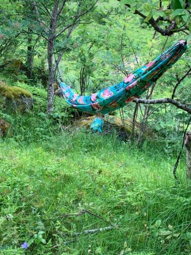 Glamping Lofoten