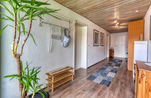 Apartamentos Ferienwohnung Haydn