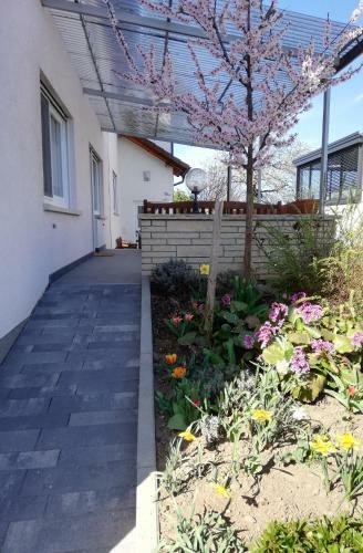 Apartamento Ferienhaus Rauwolf