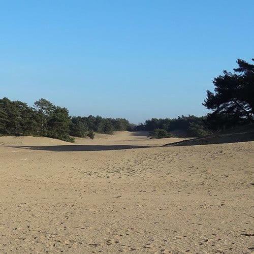 Vakantie Op de Veluwe