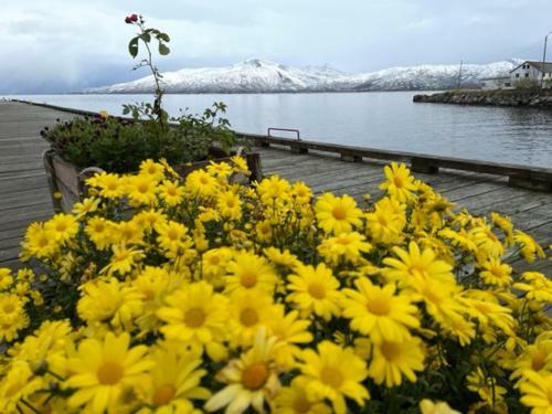 Apartamento 2. Etg I Dampskipsbrygga, L�dingen Havn