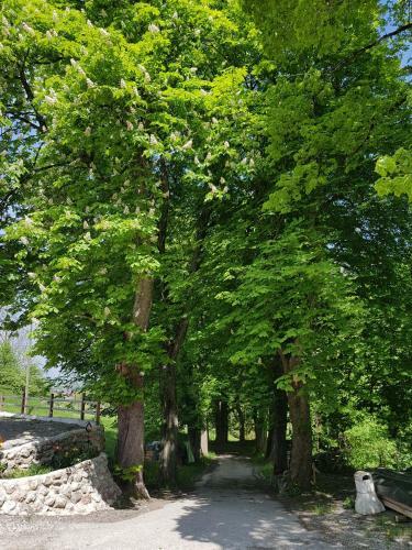 Apartamento Villa Im Wald