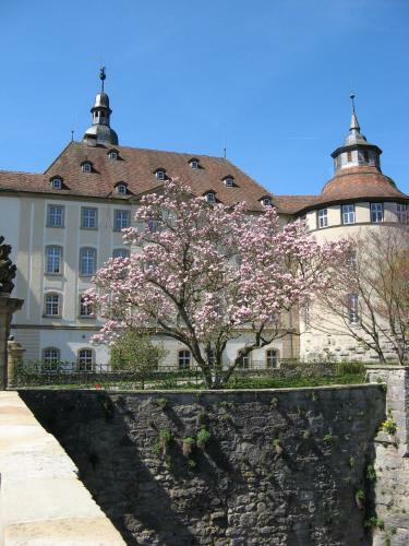 Apartamento Ferienidyll Aum�hle, "bebenburg"