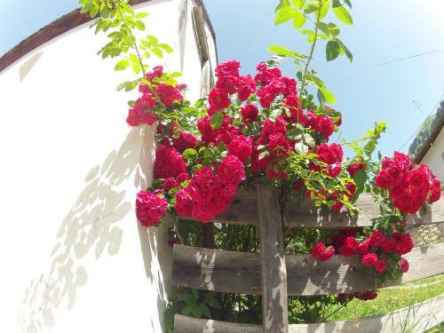 Apartamento Alpenperle