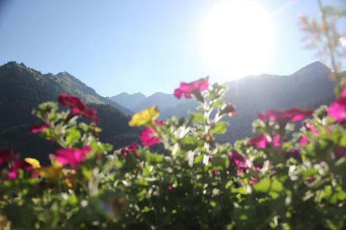 Apartamento Alpenperle