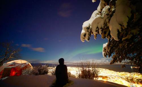Narvik Adventures As