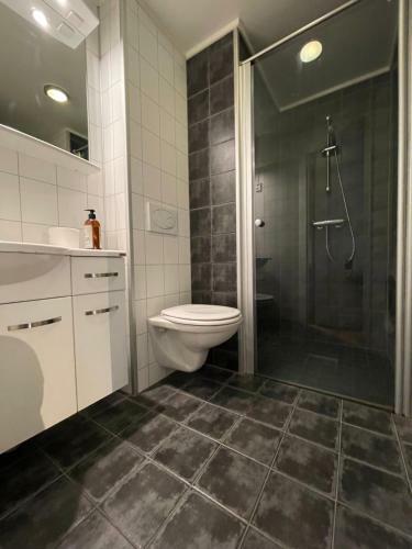 Novatind - Studio Apartment With Free Parking
