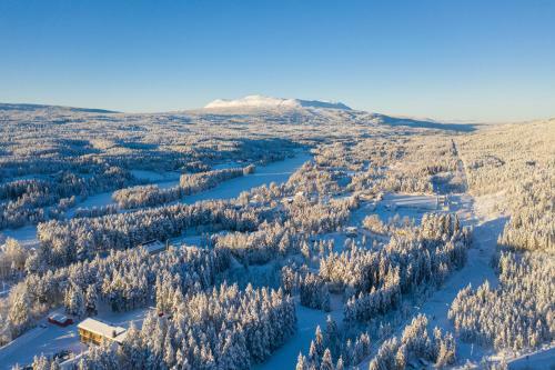 Idyllic New Cabin With Great Views And Fantastic Location In Trysil