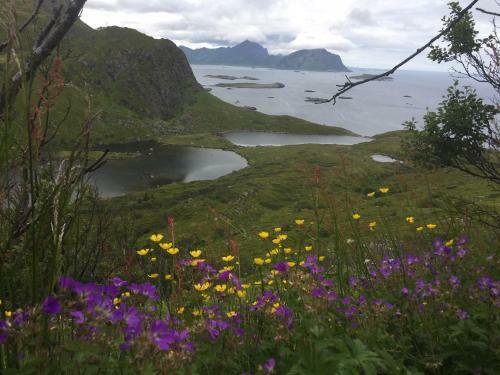 Apartment For Holiday In Nyksund