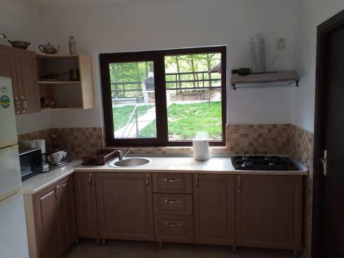 Villa Pensiunea Cet??ica