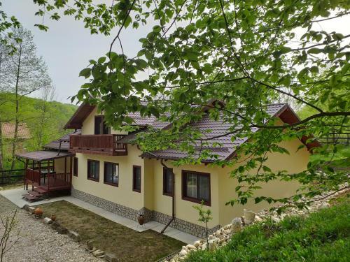 Villa Pensiunea Cet??ica