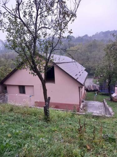 Cabana Prin?ului