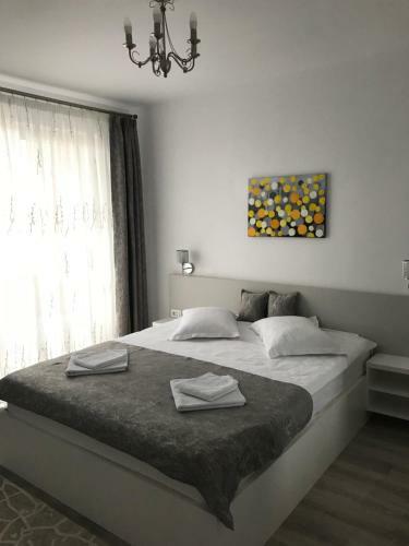 New Aparthotel Floresti