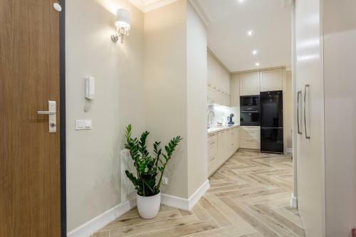 Apartament Ja?minowy