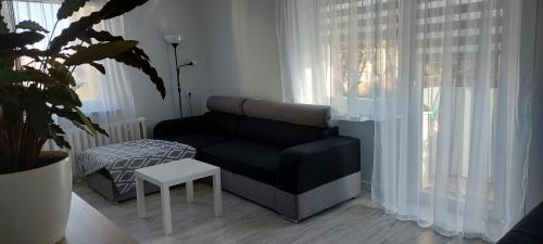 Apartament Olszty?ska 12