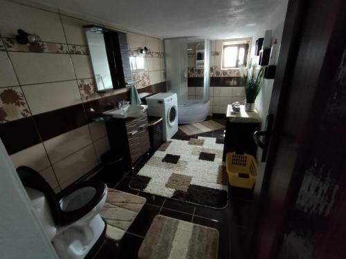 Hostal Pensiunea Duboveanu
