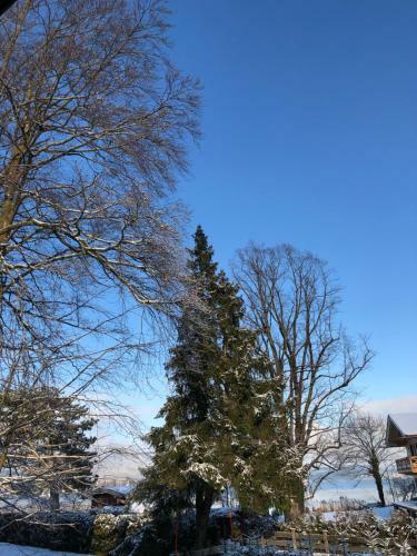 Traumhaftes Ferienhaus Direkt Am Tegernsee