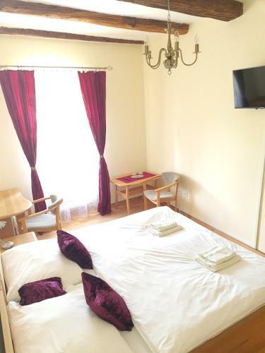 Hotel Andri?ov Dom Penzion