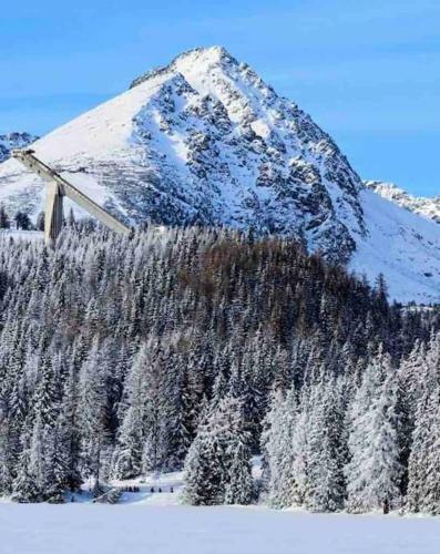 Holiday House Under Tatra's Mountain's