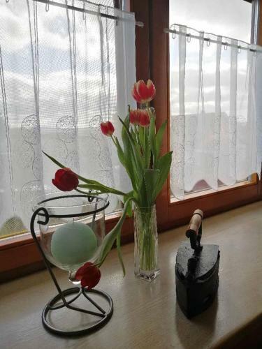 Apartamento Ferienwohnung Reitinger