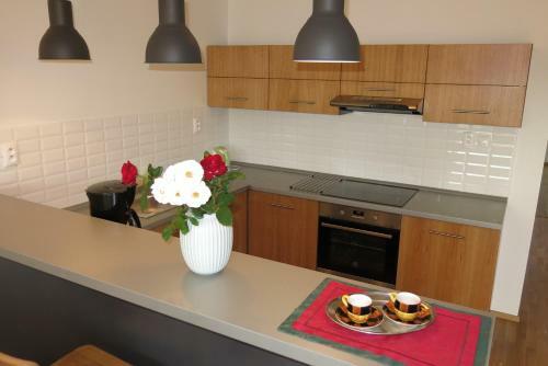 Scandic Apartmany
