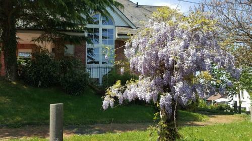 Apartamento Fewo-seither