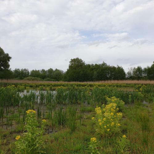 Apartamento Quaduxenbarg - A65754