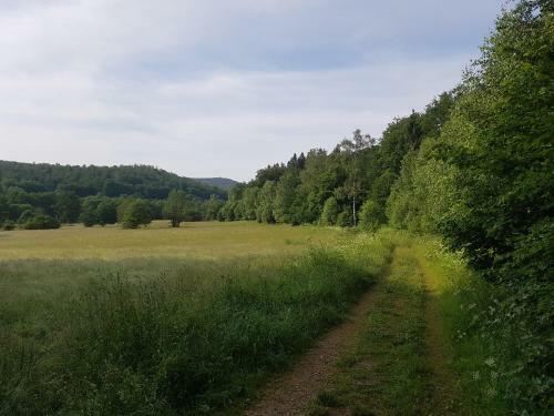 Apartamento Ferienwohnungen.ruhla