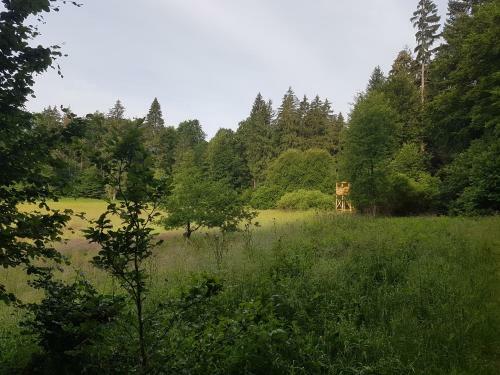 Apartamento Ferienwohnungen.ruhla