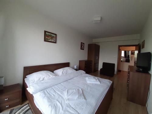 Apartm�n Ve?k� Lomnica B11