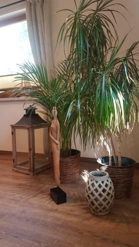 Apartamento Ferienhaus Baumann