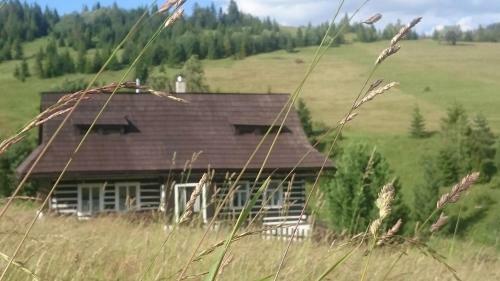 Drevenica Goralsk� Dvor