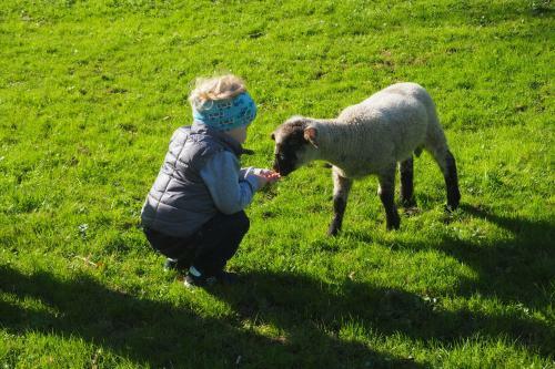 Ferienh�tte In Ruhpolding