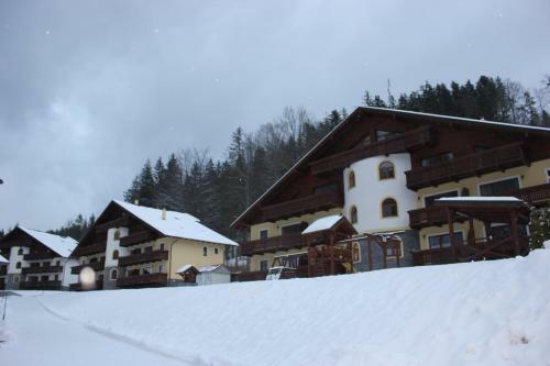 Apartm�n Essi T�le- Chopok
