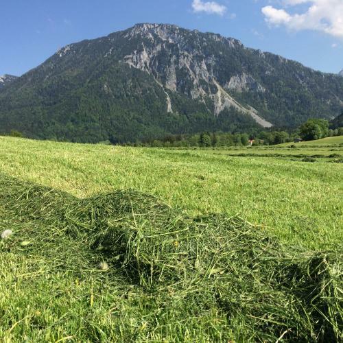 Apartamento Ferienwohnung Schifterhof