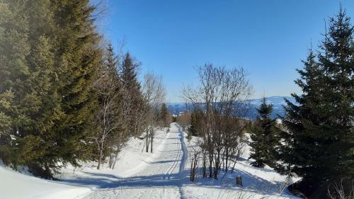 Apartm�n Tatry Tatransk� ?trba