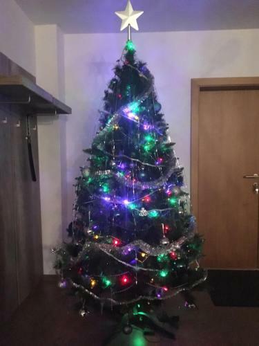 Apartmenty Patris