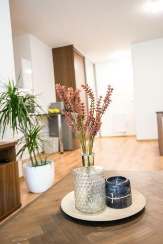 Galeria Apartments