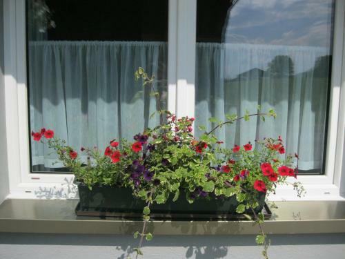 Hostal Gasthof Hirschen
