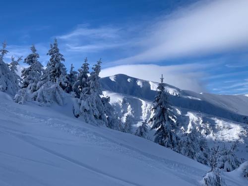 Lodge Challet Jasn� Exclusive ****