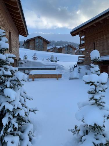 Lodge Challet Jasn� Exclusive ****